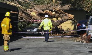 California Utilities Shut Off Power Amid Wildfire Concerns