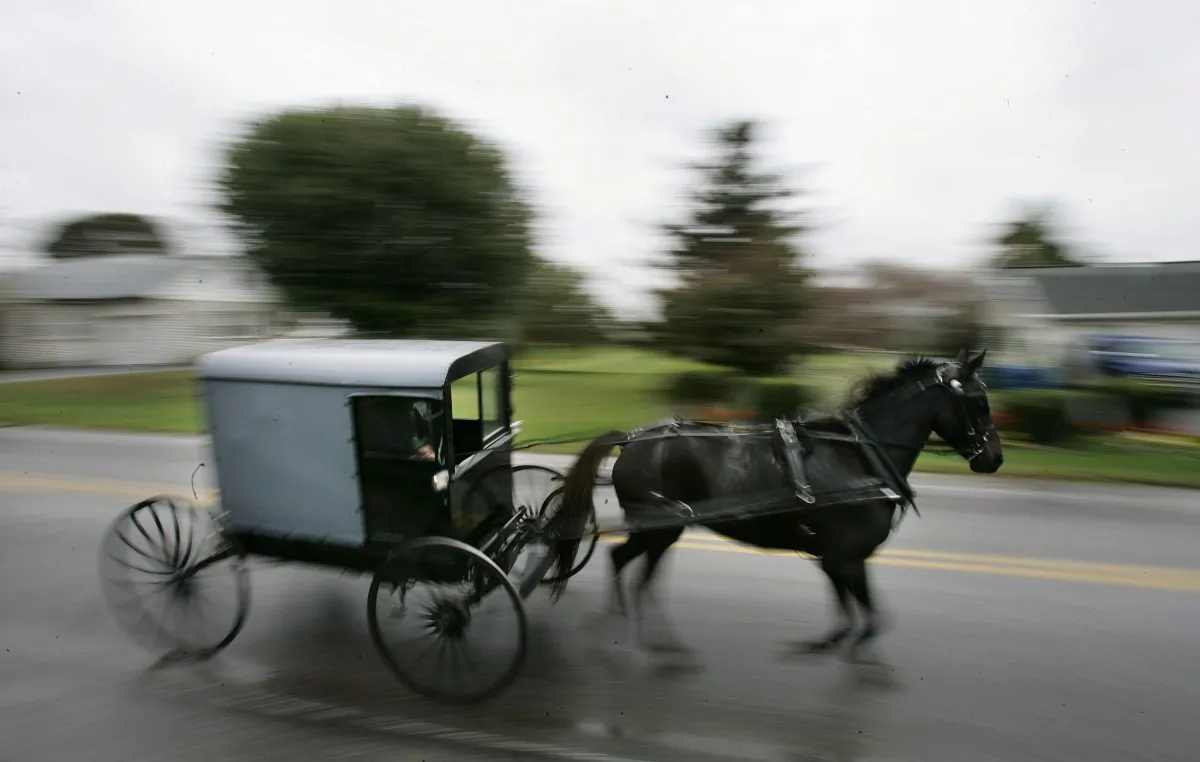File photo of a horse drawing an Amish carriage during a funeral in Bart Township, Pa., on Oct. 6, 2006. (Chris Hondros/Getty Images)