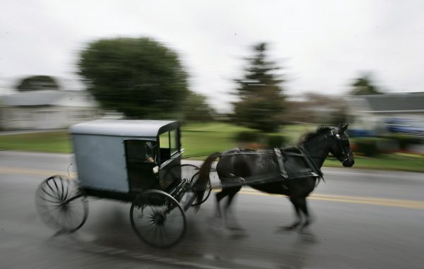 horse draws an Amish carriage