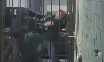 Proud Boys Leader Says Members Will Surrender to Police After Brawl With Antifa