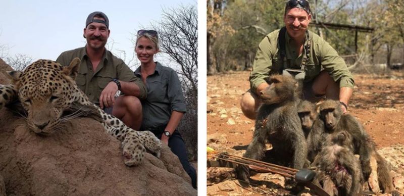blake shoots animals