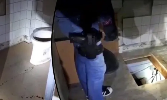 Police Find Marijuana Growing in ‘Pot Nursery’ Under Toilet Bowl at a Business