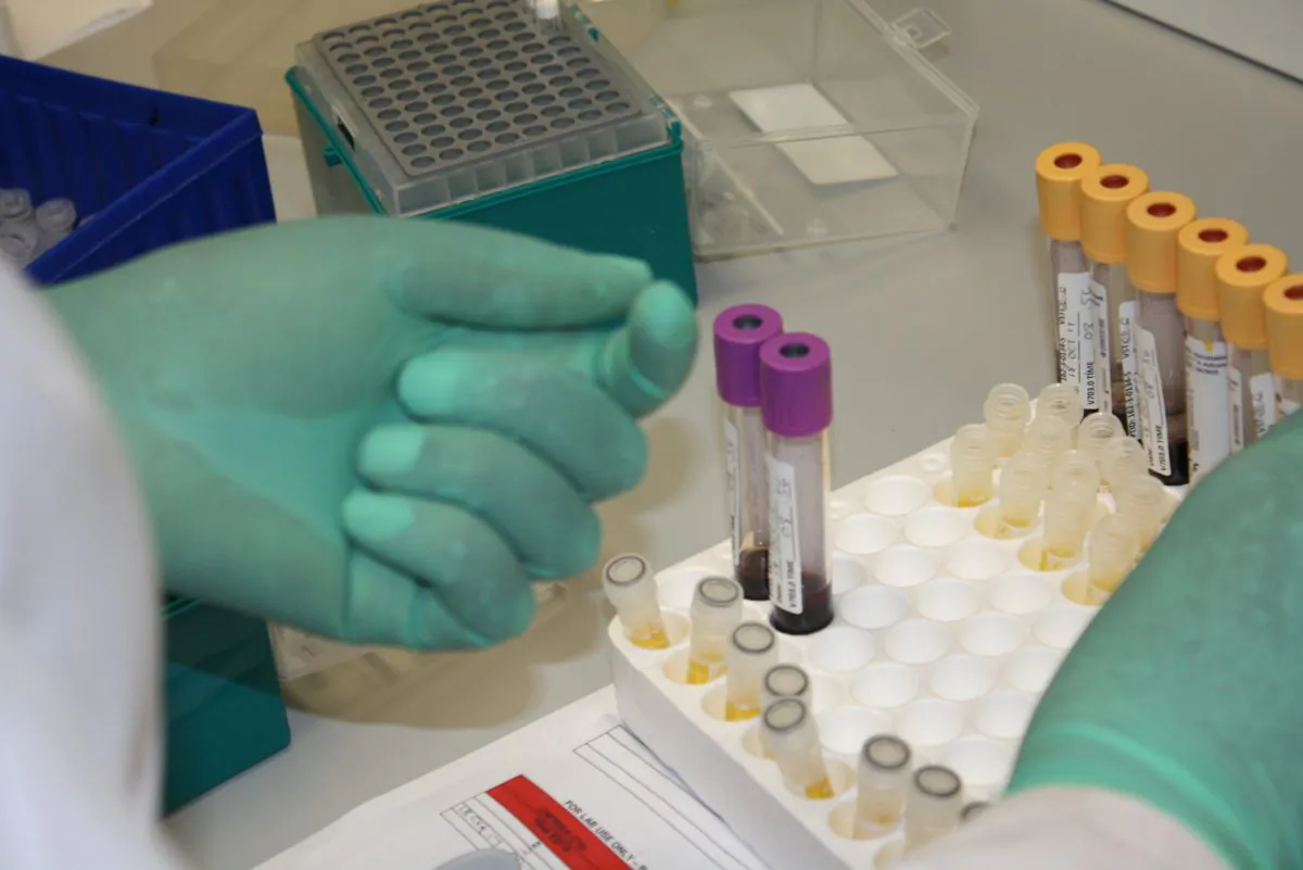The Vulindlela HIV study involved the sequencing of thousands of viruses. (Darren Taylor/Special to The Epoch Times)
