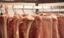 Food Worker Allegedly Urinates on the Job, Wastes 25 Tons of Product