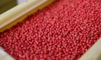 China Soybean Imports Set for Biggest Drop in 12 Years Amid Tariff Conflict