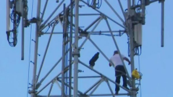 Torres took a few hours to reach the top