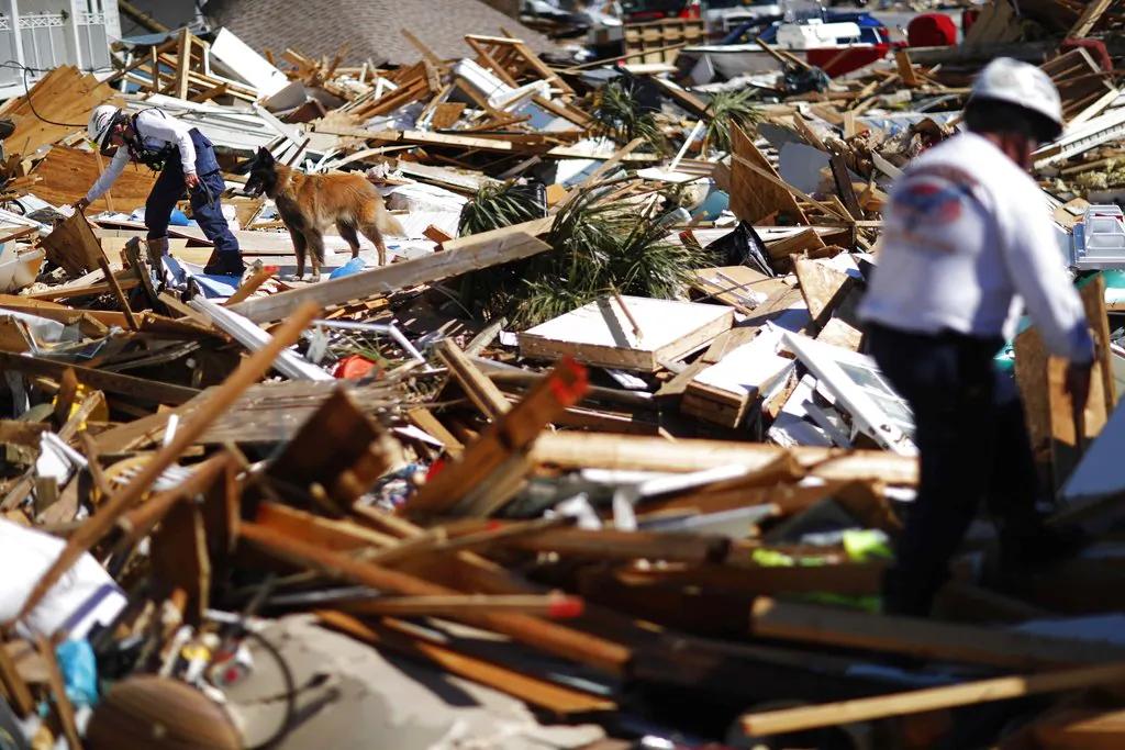 A member of a Tennessee urban search and rescue team works a debris pile with a dog in the aftermath of hurricane Matthew in Mexico Beach, Fla. on Oct. 12, 2018. (AP Photo/David Goldman)