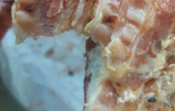 dunkin donuts has maggots