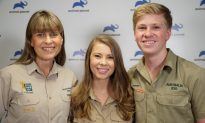 ‘Crocodile Hunter’ Steve Irwin’s Family Launch New Show