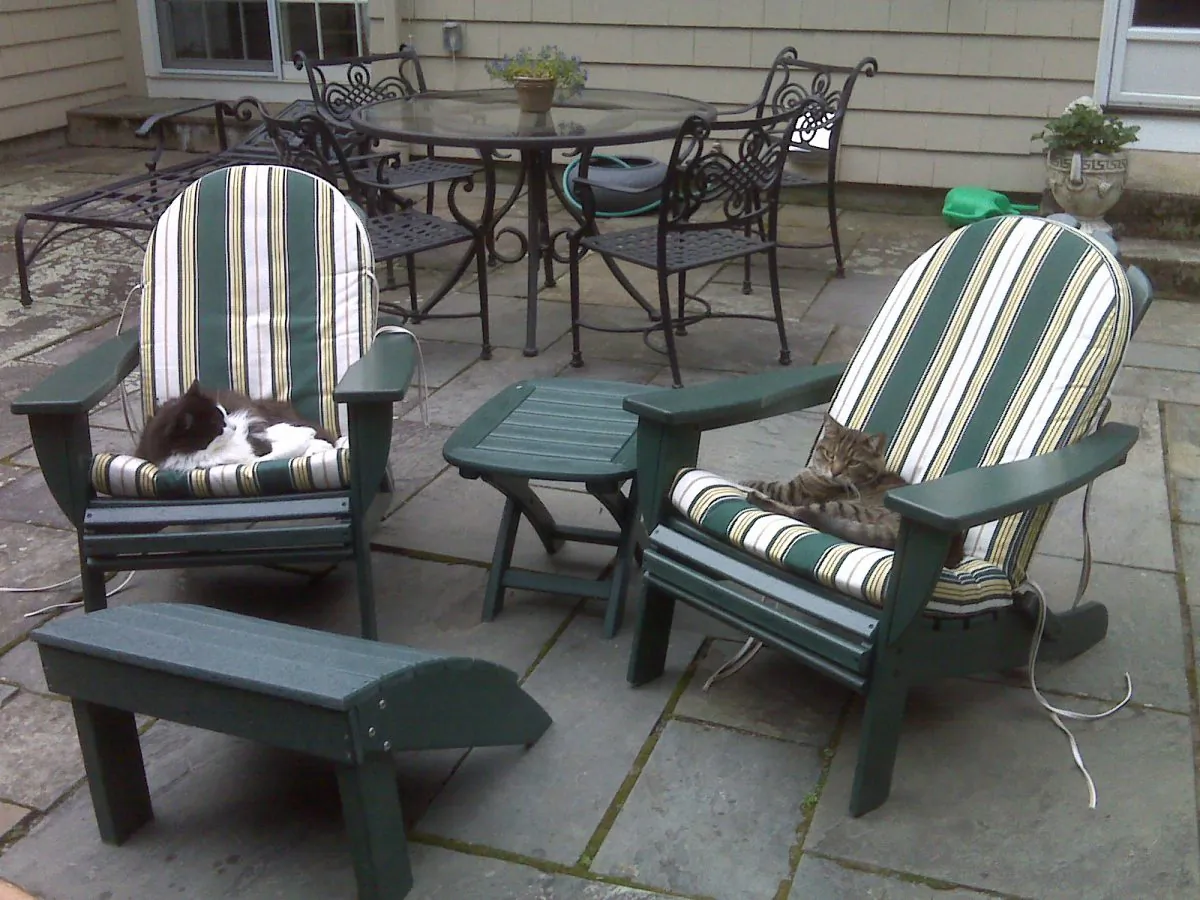 The author's cats, Rocco (L) and Okie. (Courtesy of Con Chapman)