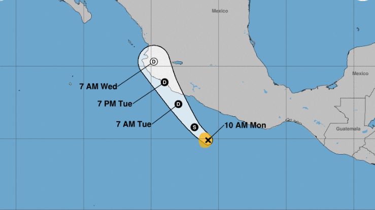 vicente to slam bam mex
