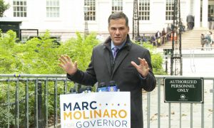 Nadler Molinaro Among Winners in New York Congressional Primaries