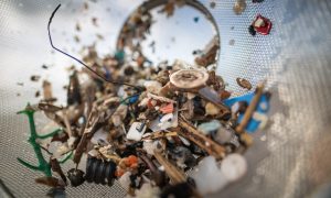 Pervasive Microplastics Are Damaging Your Cells