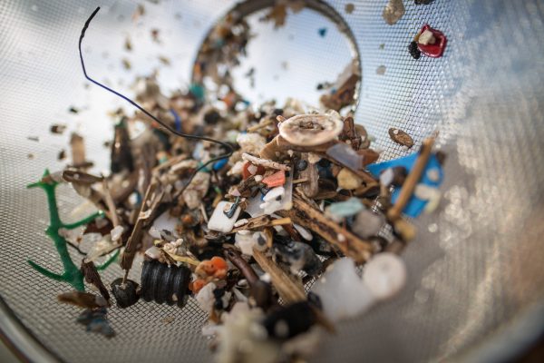 Microplastics Found in This Organ for the First Time