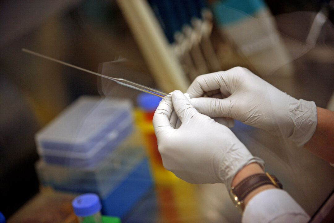 A researcher prepares stem cells in Madison, Wisconsin, on March 10, 2009. (Darren Hauck/Getty Images)