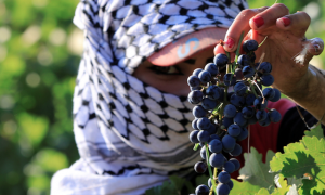 Lebanon Wines Bring Villages Back to Life and Emigrants Home