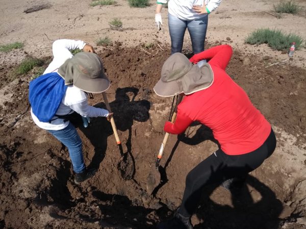 Members of the Rastreadoras por la Paz search group look for remains of missing people