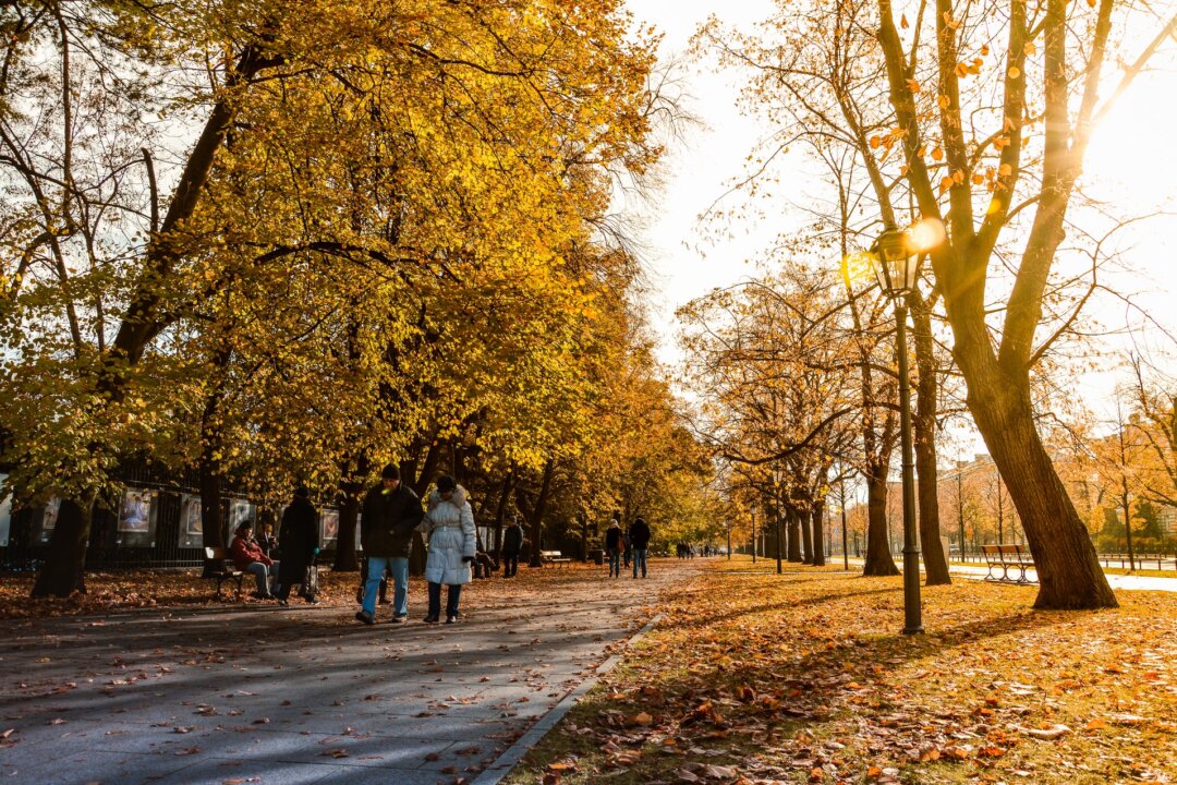 Fall ends six weeks early in the Chinese calendar, which guides people on how to navigate the seasons for health and well-being.(Pexels)
