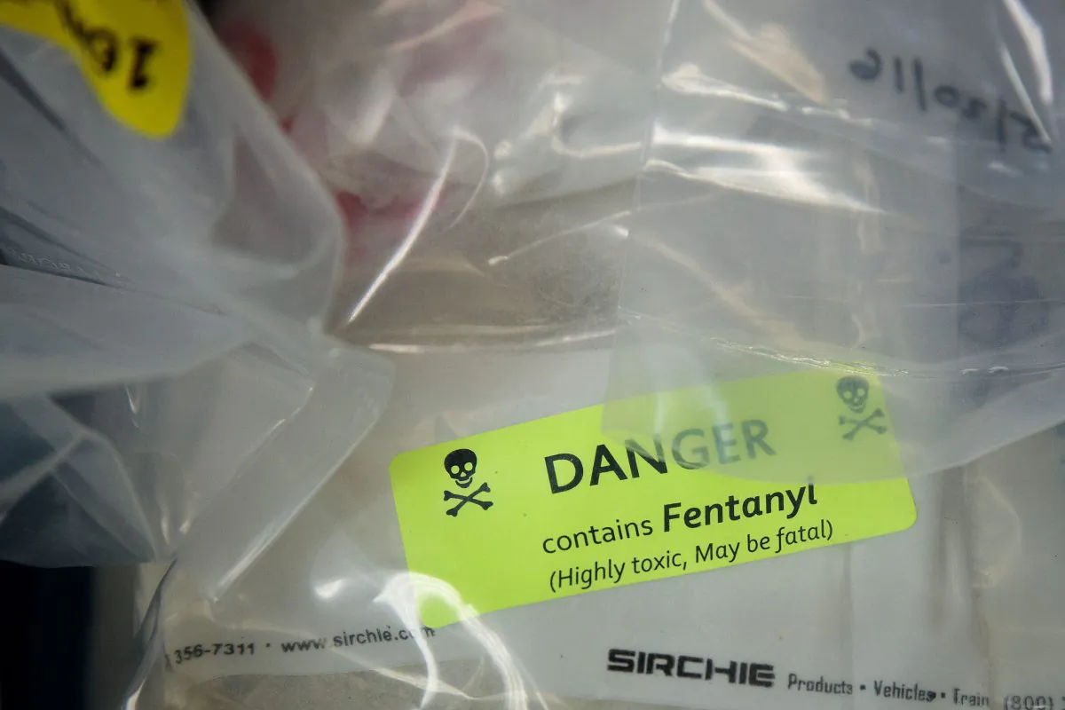 Bags of heroin, some laced with fentanyl, are displayed before a press conference regarding a major drug bust in New York City on Sept. 23, 2016. (Drew Angerer/Getty Images)