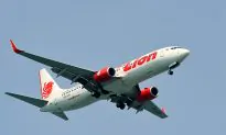 Parts of Crashed Lion Airplane Found