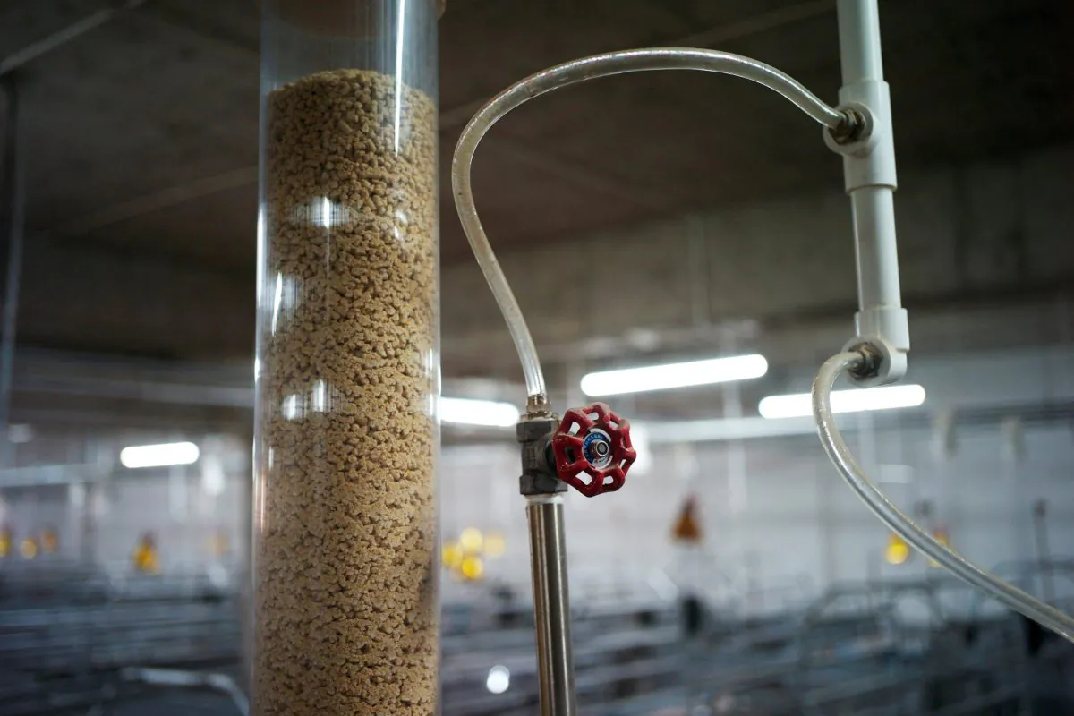Part of an automatic feeding system is seen inside Guangxi Yangxiang's high-rise pig farm at Yaji Mountain Forest Park in Guangxi Province, China on March 21, 2018. (Thomas Suen/Reuters)