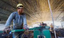 China Factory Growth Weakest in Over Two Years, Slump in Export Orders Deepens