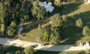 Teenager Among 3 Dead in Apparent Murder-Suicide in Georgia