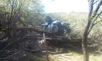 Woman Survives 6 Days in Desert After Car Falls 50 Feet Into Tree
