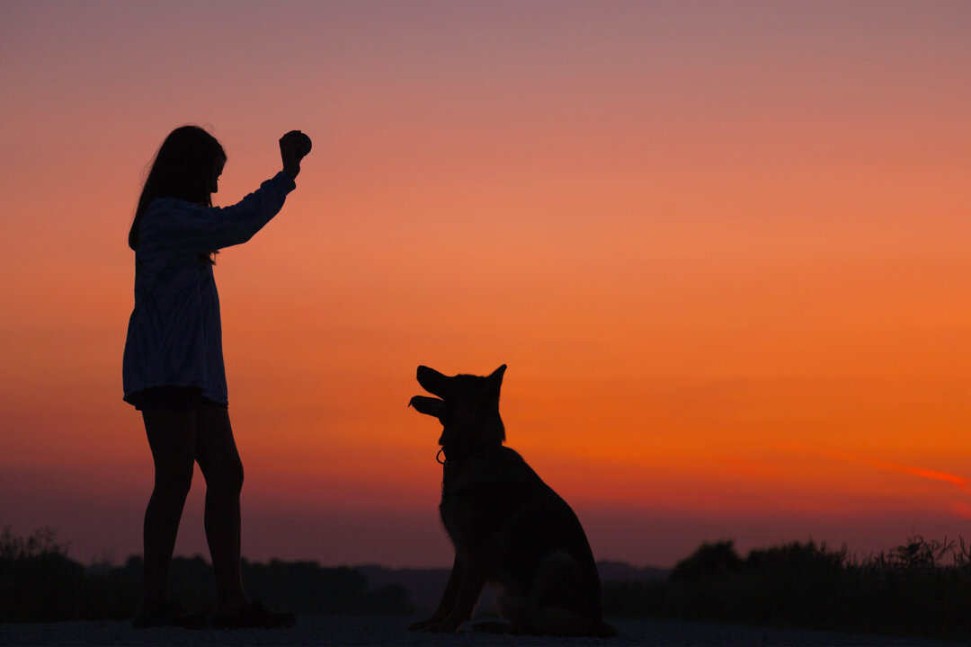 Teaching our mind better tricks isn't too different from training a puppy. It takes some patience, rewards, and a clear goal. (Wyatt Ryan/Unsplash)