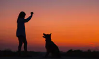 Train Your Mind Using the Puppy Method