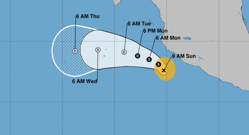 xavier forms in pacific