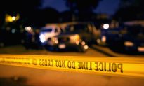 Deputies Kill Two Pit Bulls After Vicious Attack in North Carolina