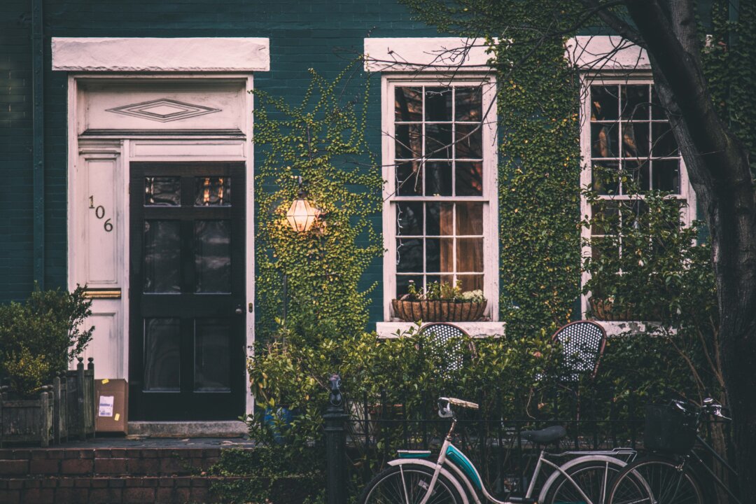 Lush greenery can transform our homes. (Christopher Harris/Unsplash)