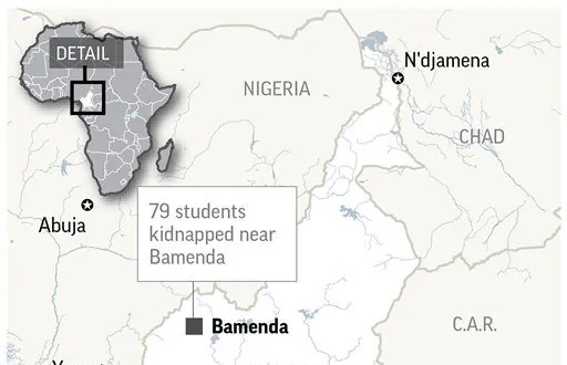 Armed Men Kidnap 79 School Students in Northwest Cameroon