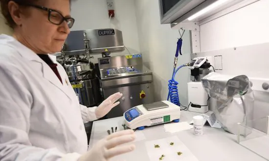 No Evidence Medical Cannabis Alleviates Anxiety, Depression, or PTSD: Study