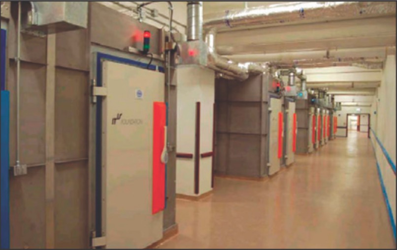 chambers where cell phone radiation on rat studies