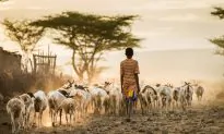 What’s Needed to Do a Better Job of Pre-Empting Disease Outbreaks