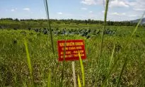 Vietnam, US Complete Cleanup of Toxic Chemical From Airport