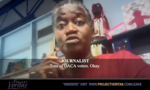 Election Officials Encourage Non-Citizen Voting, Influence Voters on Hidden Camera