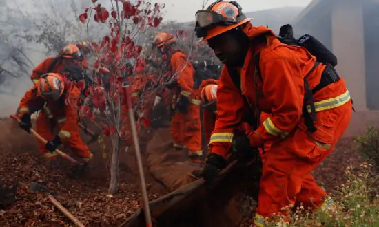 93-Year-Old Woman Rescued, Pulled Into Garbage Collector’s Truck as Camp Fire Spread