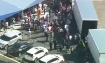 Protesters, Trucks Appear Outside Broward County Elections Office in Florida