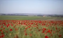 ‘A Piece of Closure:’ Law Students Killed in WWI Called to Bar 100 Years Later