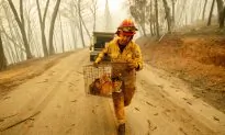 Deadly Fire Leveled Paradise, California, in Less Than a Day