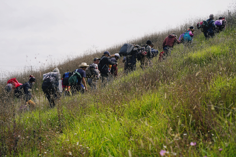 Crowd of migrants heading to US