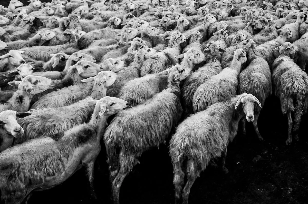 Collectivism and individualism are more rational ways of looking at the political spectrum, from totalitarianism to inherent rights and liberties. (pixabay.com)