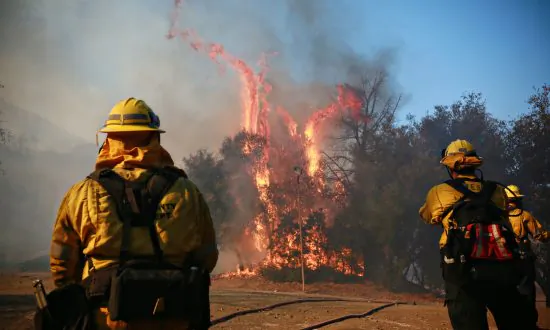 California Utility Companies Say Power Outages Occurred Right Before Wildfire Outbreak