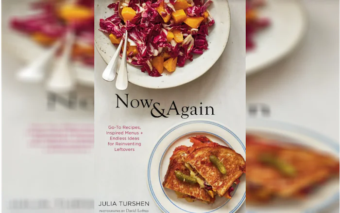 "Now & Again: Go-To Recipes, Inspired Menus, and Endless Ideas for Reinventing Leftovers" by Julia Turshen