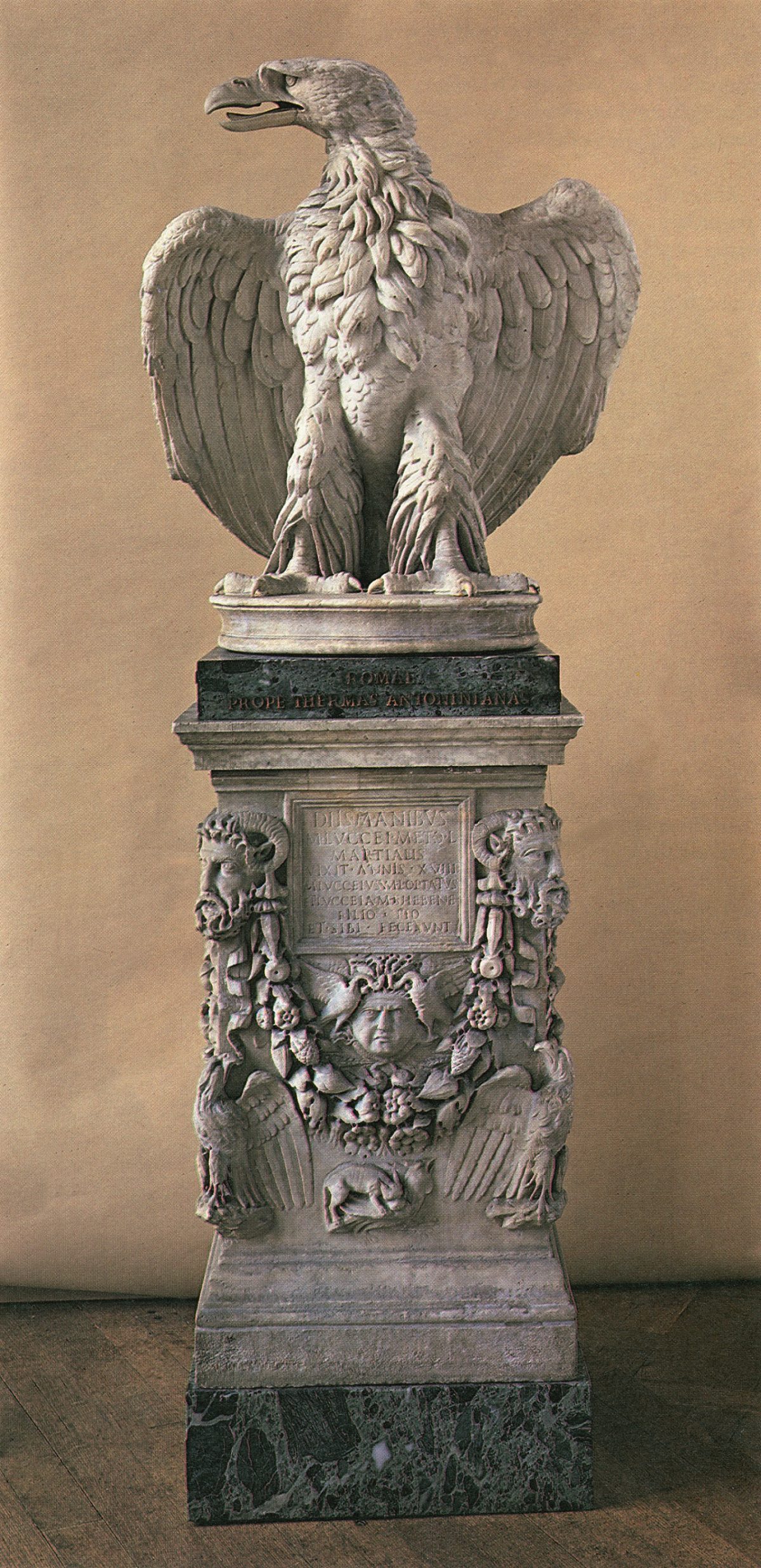 Roman Eagle Marble