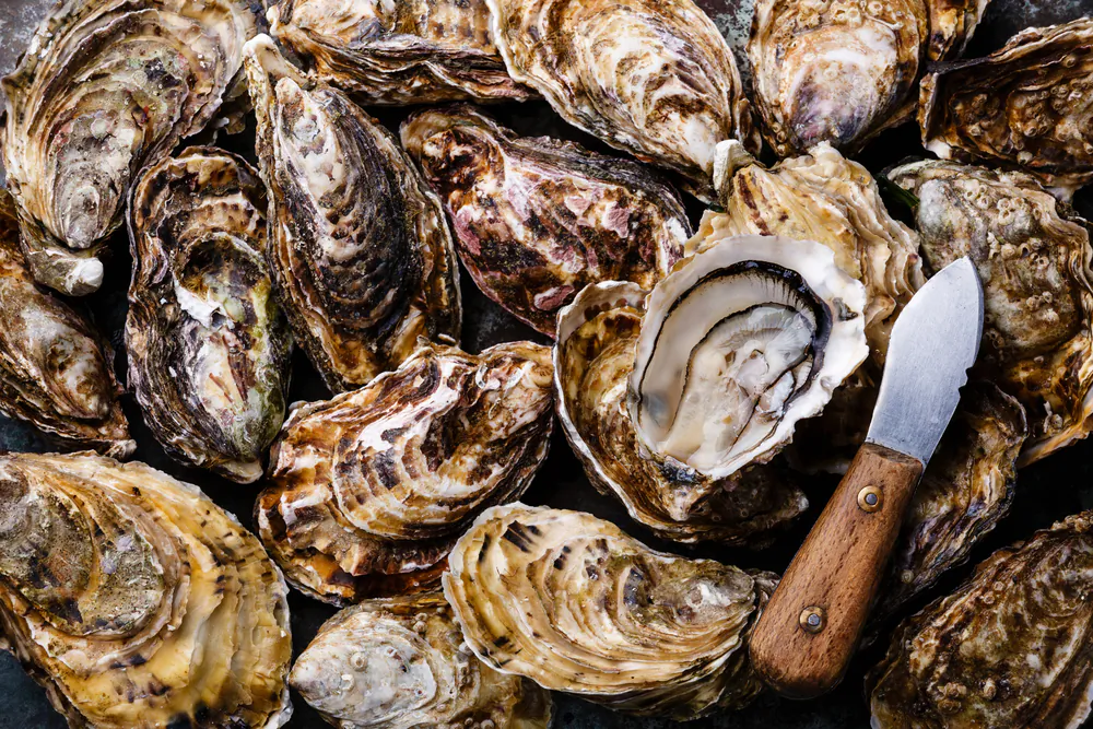 Oysters add flavor, meatiness, and a dose of New England tradition to Chris Stam's stuffing. (Shutterstock)