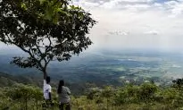 Activists Raise Concerns About Killing of Community Leaders in Colombia